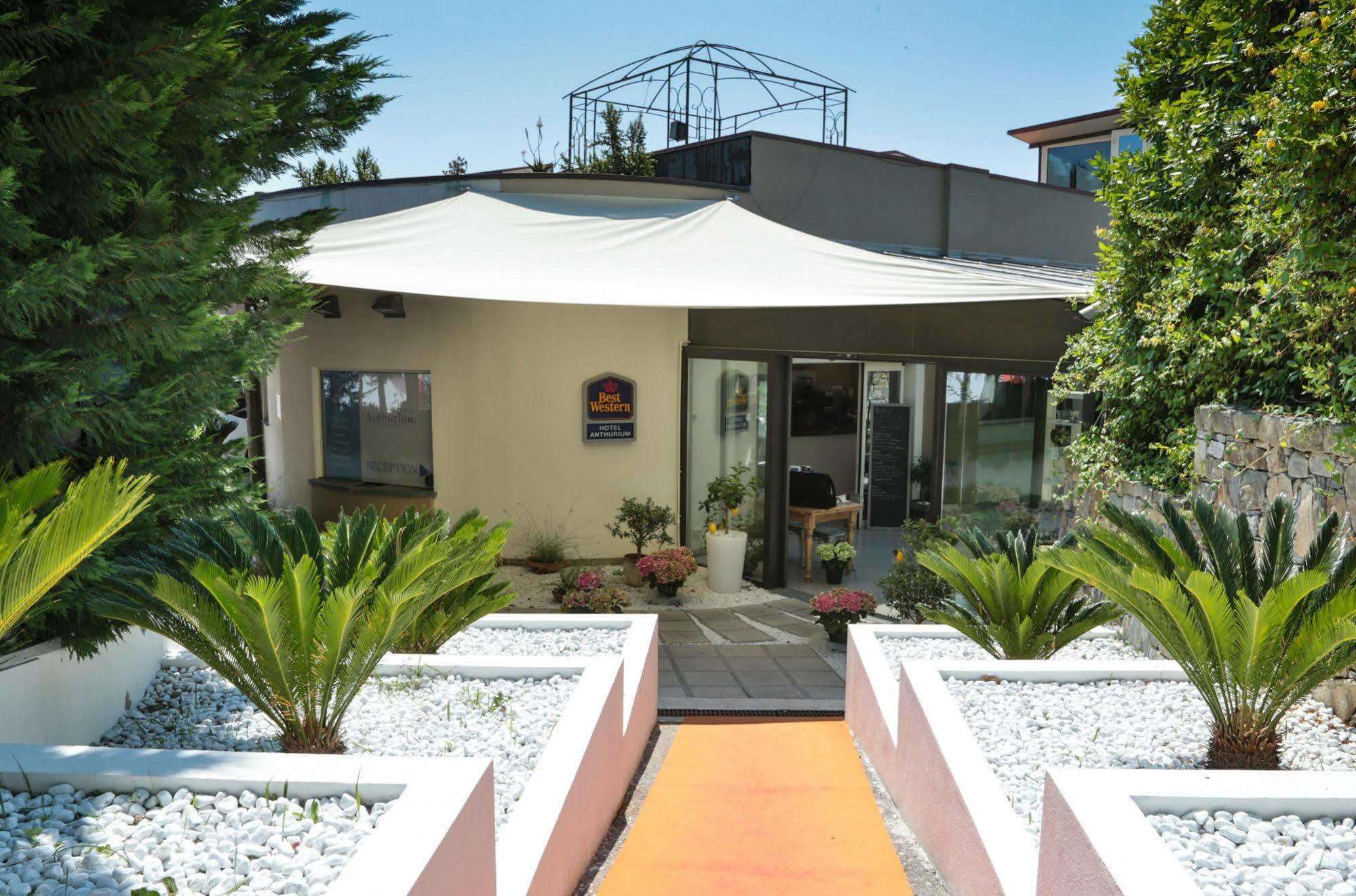 Western Anthurium Hotel Santo Stefano al Mare