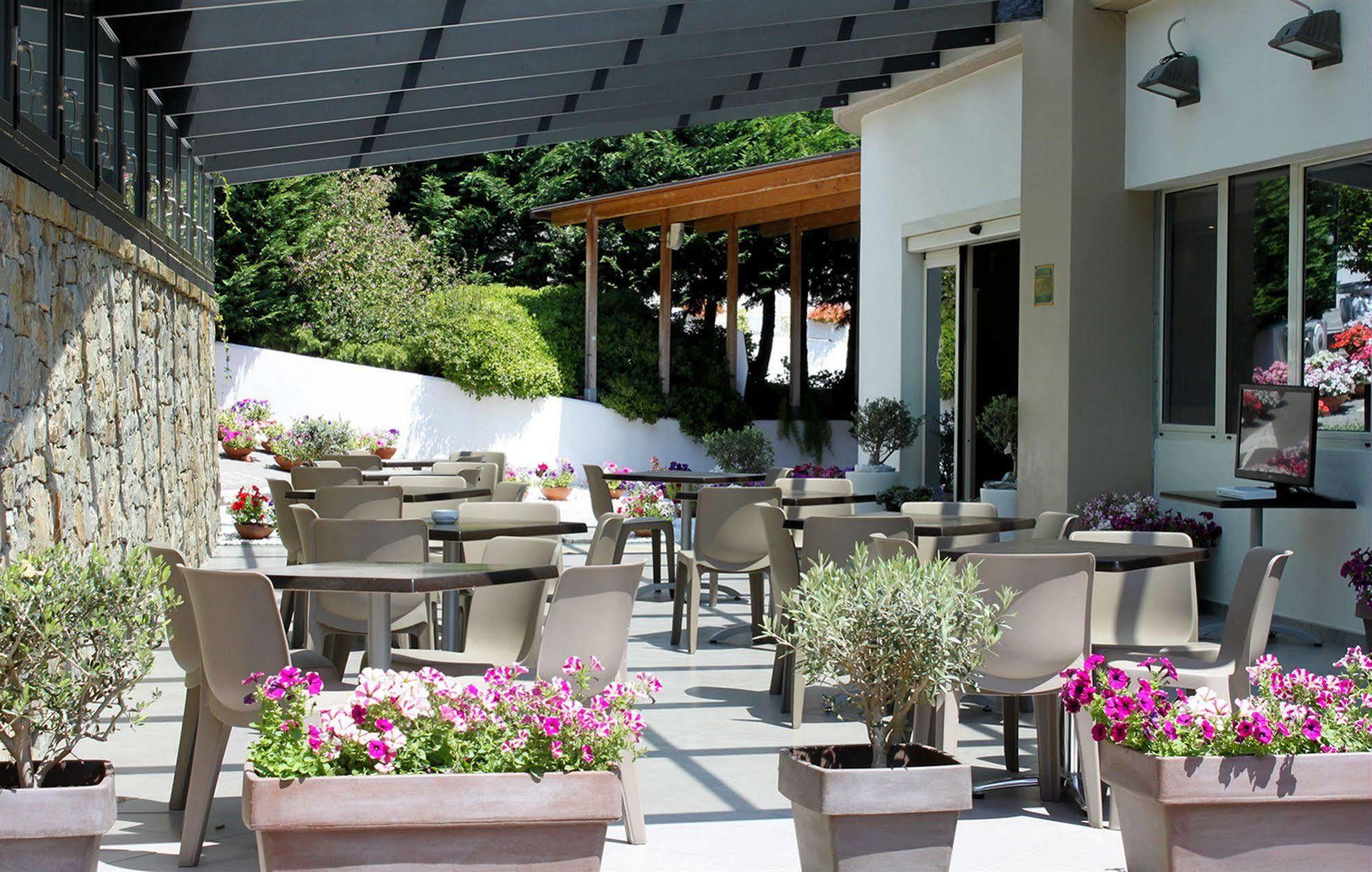 Hotel Western Anthurium